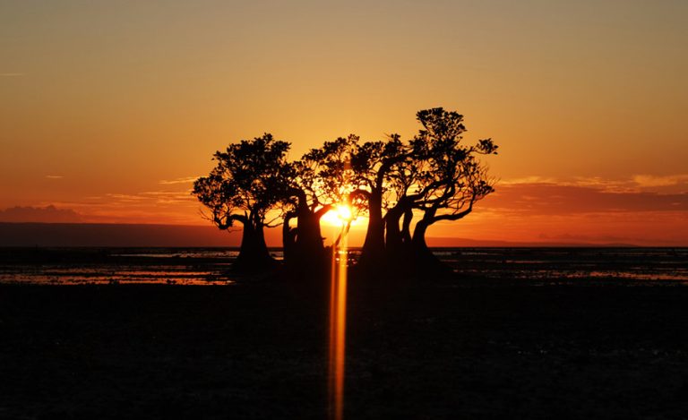 Senja yang Menari di Walakiri